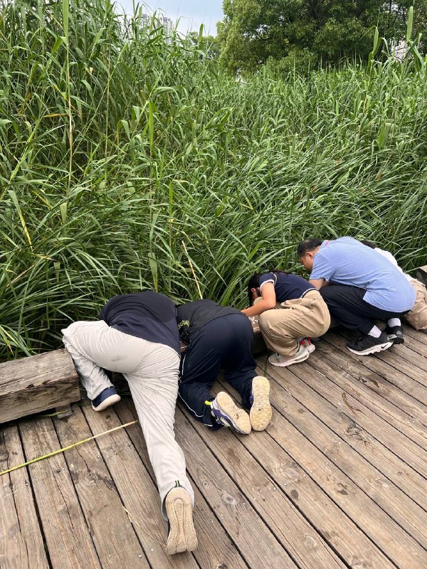 父亲节快乐！